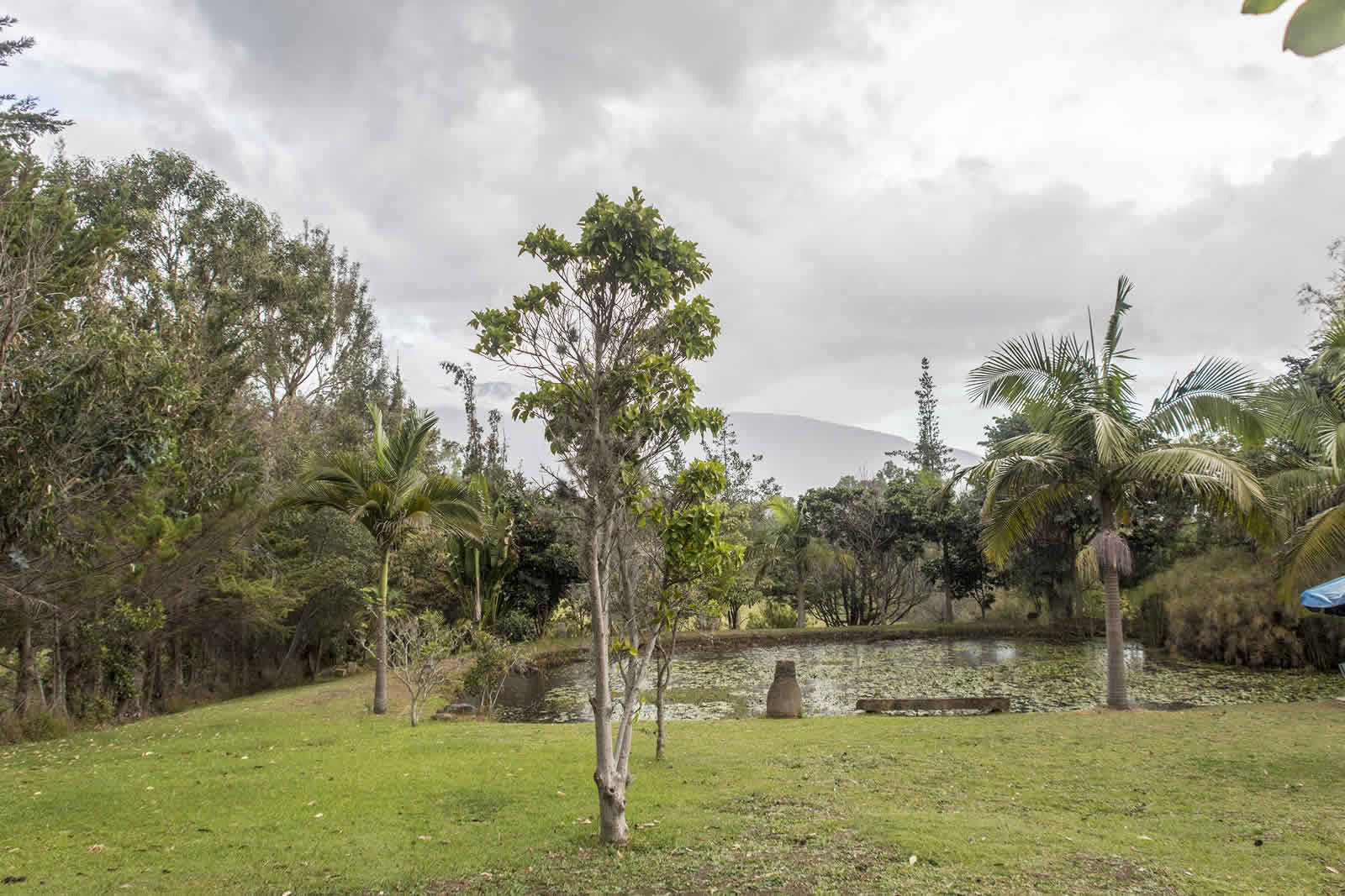 Lago casa El Pino en Villa de Leyva
