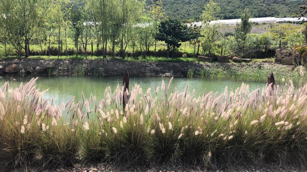 Jardine- Ecce Homo, Villa De Leyva