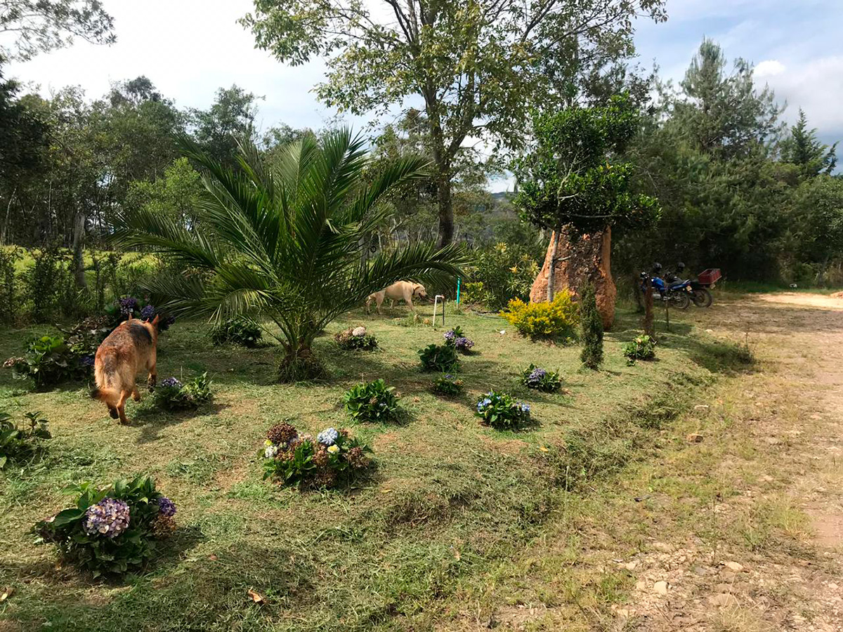 alquiler-casa-naranjos-villa-de-leyva-12