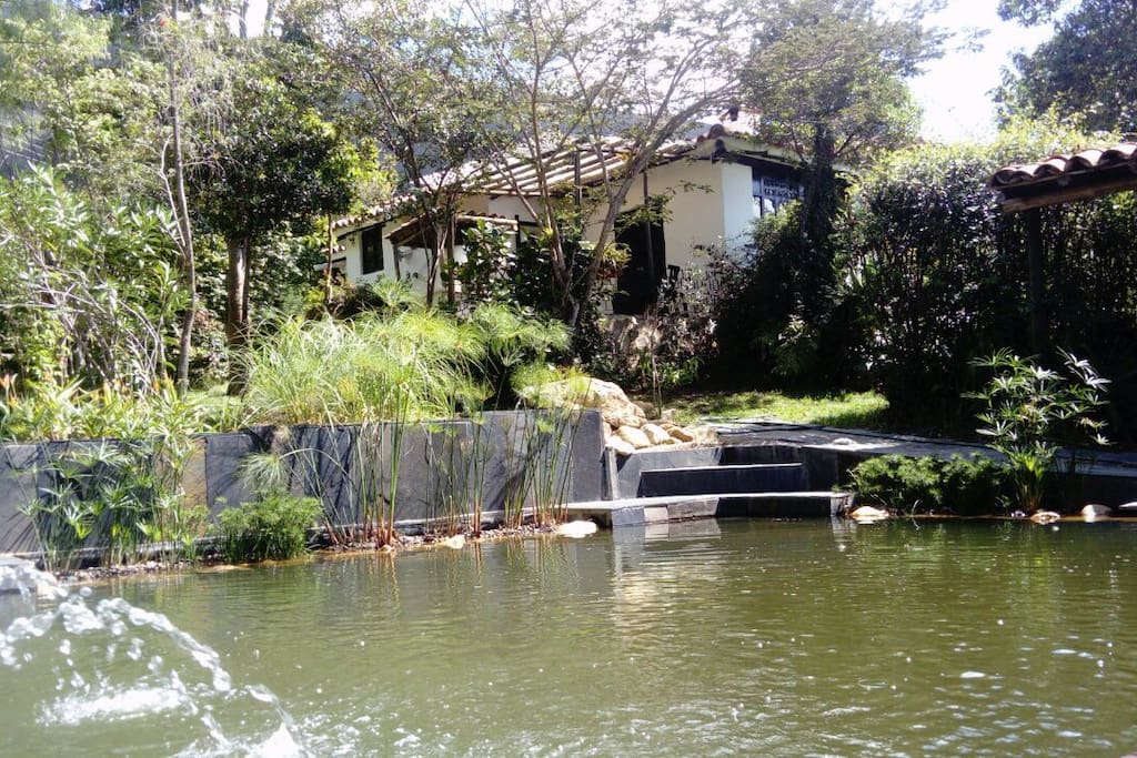 Piscina Villa Juliet